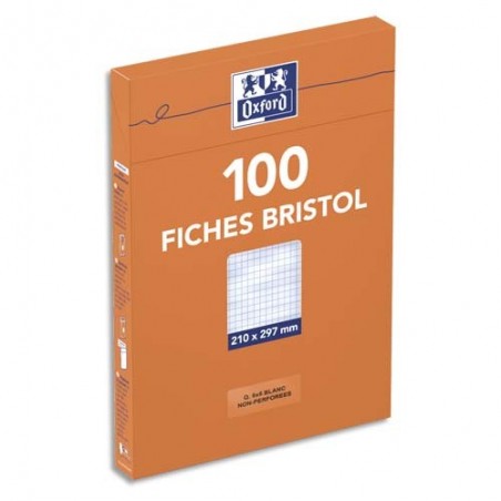 Classeur Pour Fiches + 100 Fiches Bristol A5 Quadrillées Perforées + 4  Intercalaires + 1 Index Adhésif Blumie (Orange) : : Fournitures de  bureau