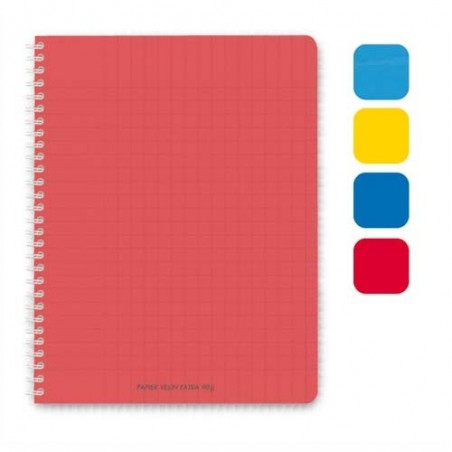 Cahier Oxford color life a4 petits carreaux 5mm 100 pages reliure spirale  couverture carte coloris assortis sur