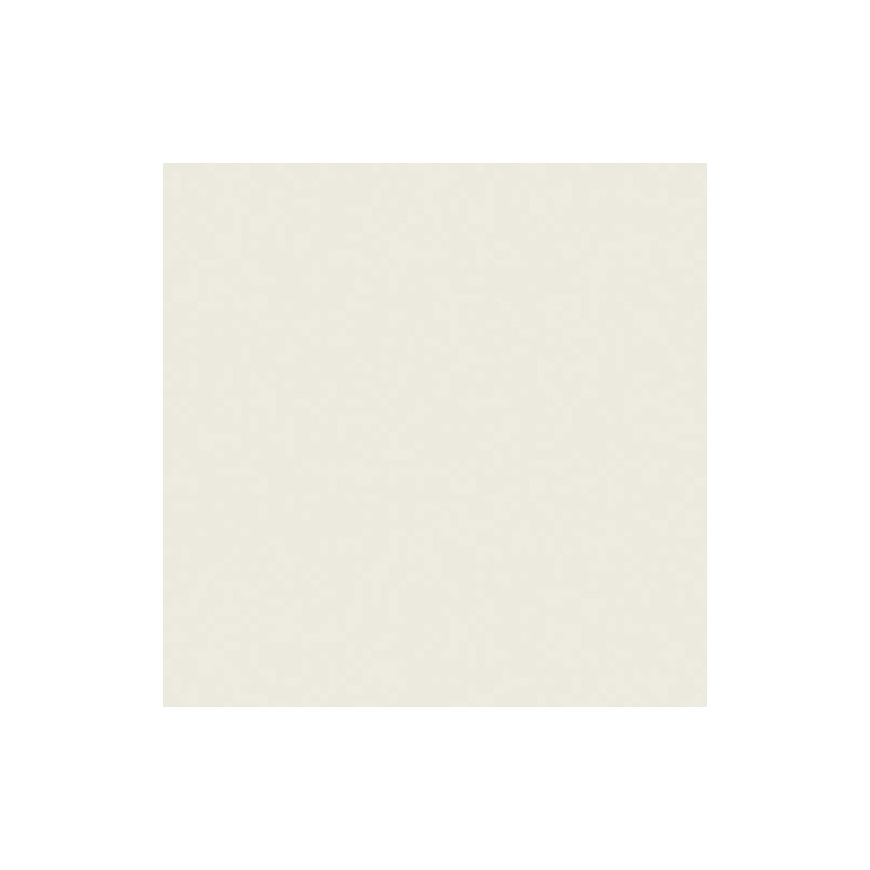 Papier A4 couleur 80 g Clairefontaine (Multi Couleur FLUO) – Ramette de 500  feuilles